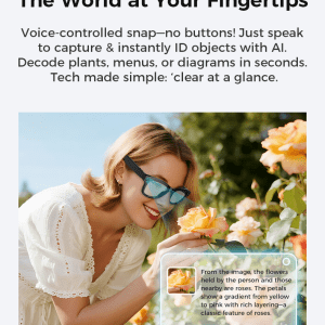 the world at your fingertips