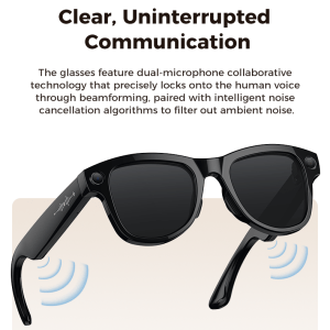 The Smart Glasses