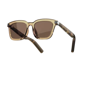 AI Voice Assistant Smart Sunglasses - Details