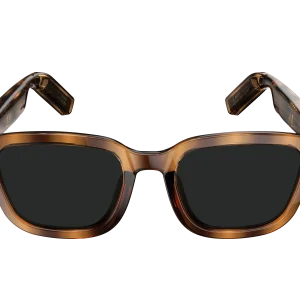 Voice Control Smart Glasses with Speaker - Reference