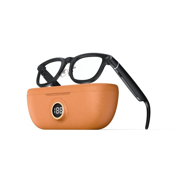 Smart AI Glasses